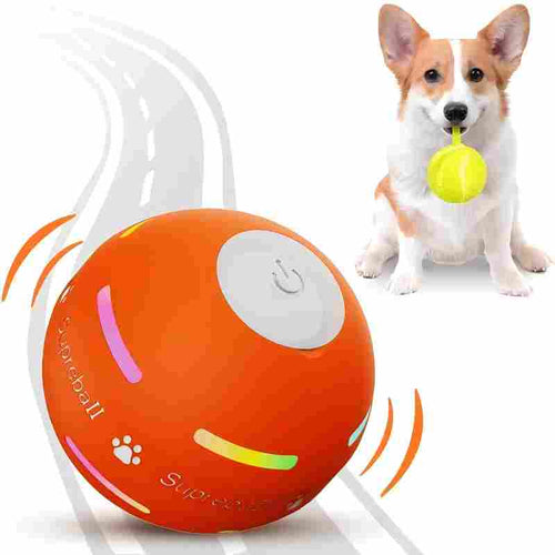 Interactive Dog Ball - Motion Activated Play For Endless Fun & Engagement