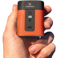 Vivid Orange