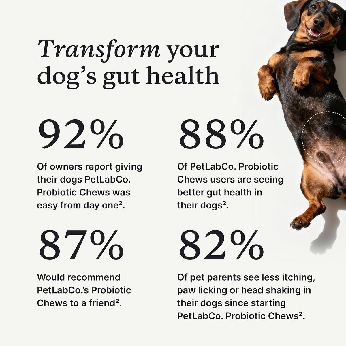 Dog Probiotic Soft Chews - Daily Gut Support for Healthy Digestion