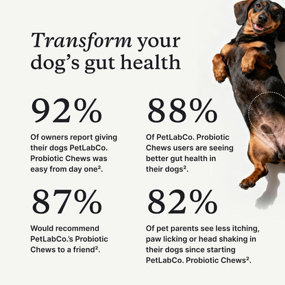 Dog Probiotic Soft Chews - Daily Gut Support for Healthy Digestion