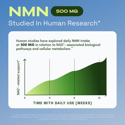 NMN Supplement - 4-In-1 Cellular Wellness Formula For Daily Energy Support