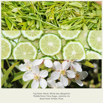 Hotel-Inspired Diffuser Oil - White Tea Aroma For A Luxury Home Atmosphere