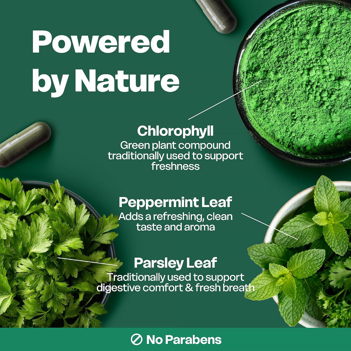The Viral Chlorophyll Wellness Essential--Add plant-powered chlorophyll support to your daily routine for a fresher, more confident feeling every day.