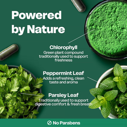 The Viral Chlorophyll Wellness Essential--Add plant-powered chlorophyll support to your daily routine for a fresher, more confident feeling every day.