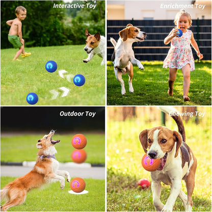 Interactive Dog Ball - Automatic Motion For More Playtime