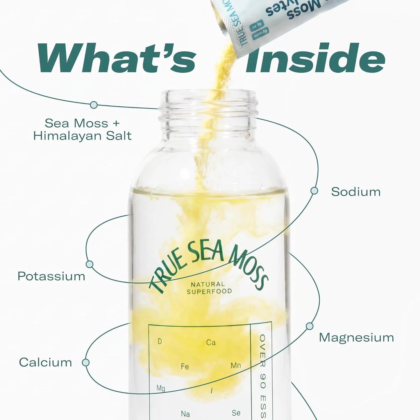 Electrolytes Powder Concentrate Packets – Wild Marine Mineral Infusion For Peak Instant Hydration