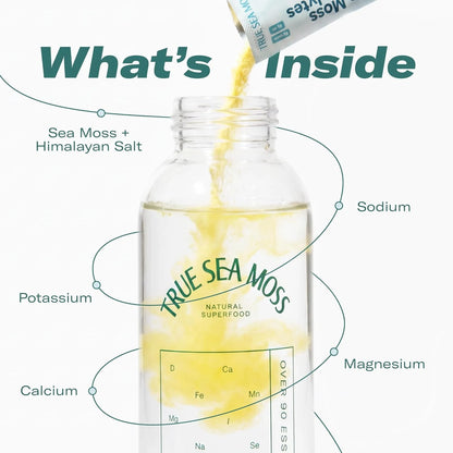 Electrolytes Powder Concentrate Packets – Wild Marine Mineral Infusion For Peak Instant Hydration