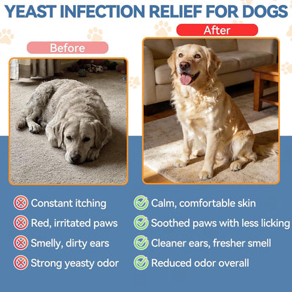 Dog Ear & Skin Support Drops - Natural Daily Formula For Itch & Comfort Care