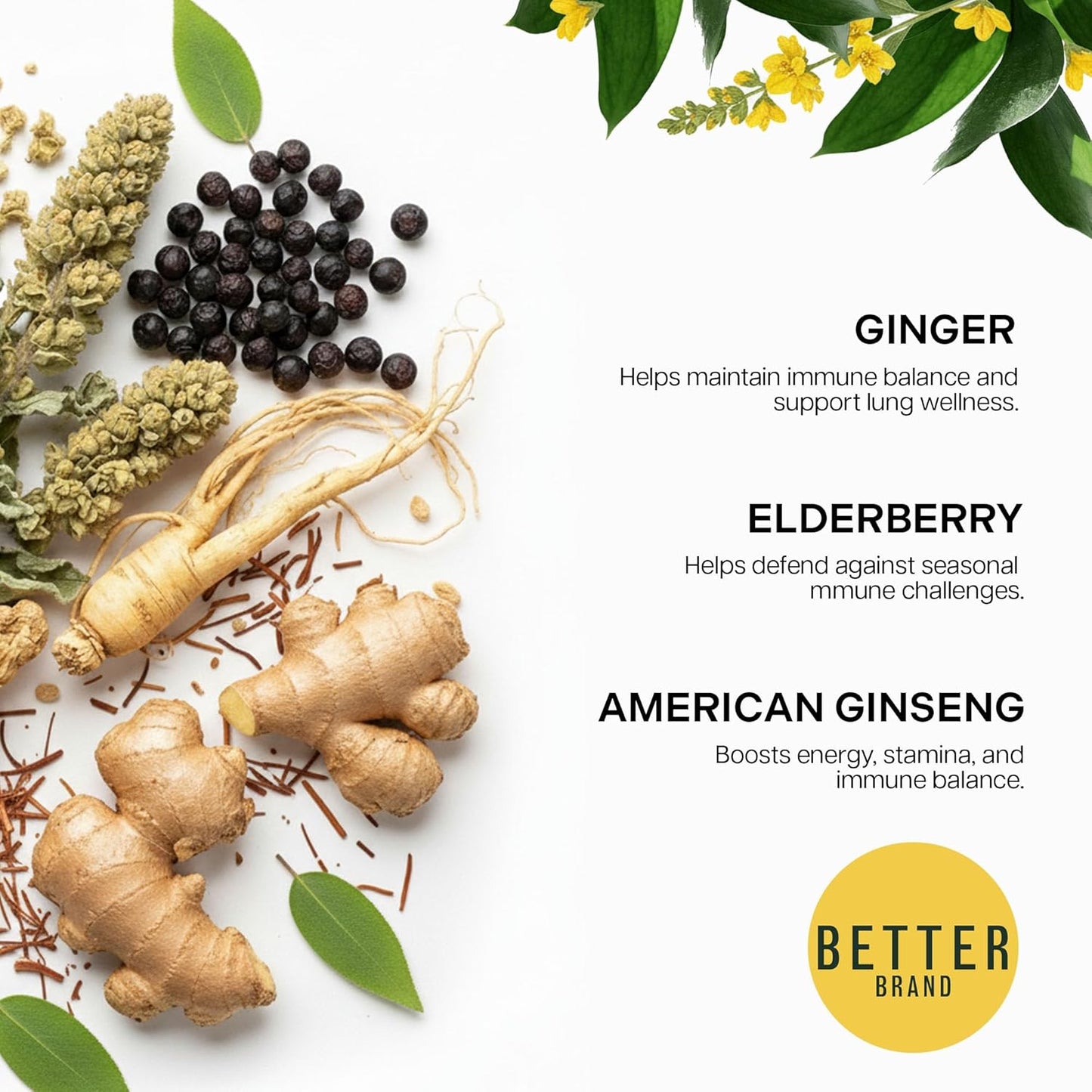 Herbal Lung Detox Tea - Mullein Blend For Natural Respiratory Reliefa