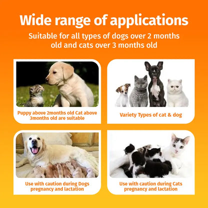 Stop the Scratching Instantly: Fast-Acting Relief for Hot Spots and Raw Wounds!——Pet-Safe Natural Spray