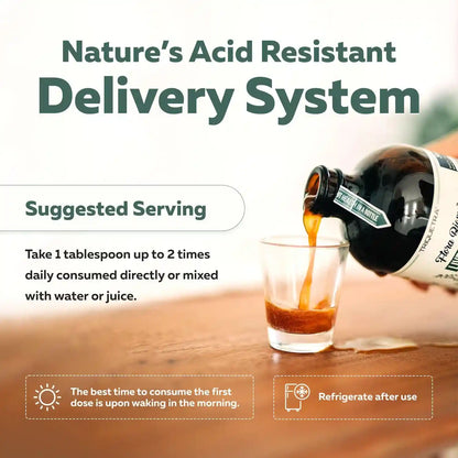 Liquid Microbiome Supplement – 3-in-1 Living Formula For Total Gut Health Restoration