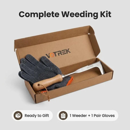 Slice Crevice Weeds Instantly with 3-Edge Precision | Buy 1 Get 1 Free
