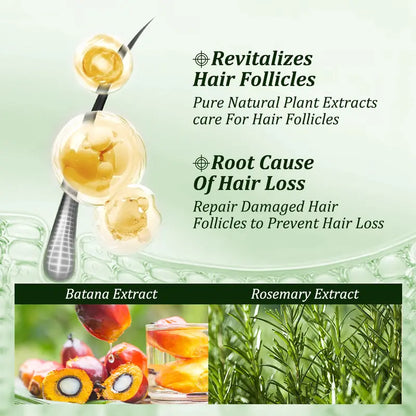 Batana Oil Shampoo - Thicker, Fuller Hair That Starts at the Root
