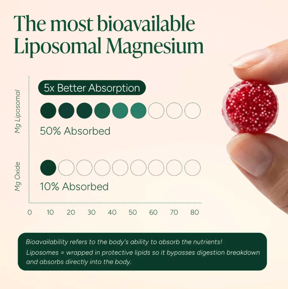 Magnesium Ashwagandha Gummies – Liposomal Beadlet Technology For Ultimate Sleep & Calmer Mind