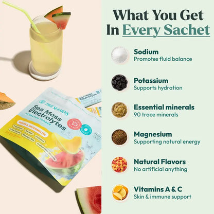 Electrolytes Powder Concentrate Packets – Wild Marine Mineral Infusion For Peak Instant Hydration