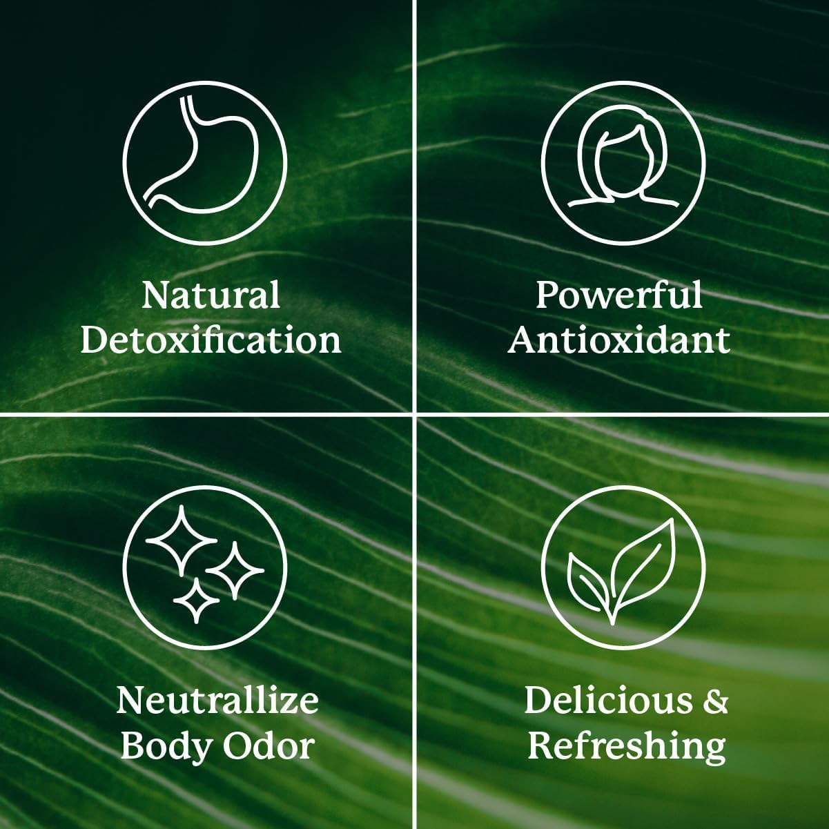 Extra Strength Chlorophyll Stick Packs for Daily Detox, Debloat & Freshness