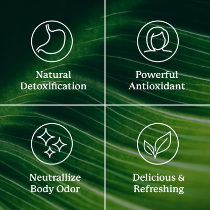Extra Strength Chlorophyll Stick Packs for Daily Detox, Debloat & Freshness